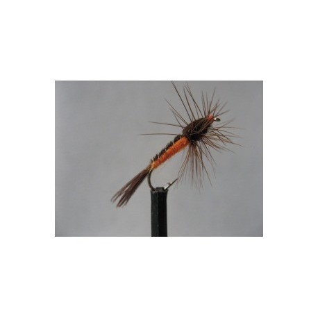 ians carrot fly nymph ls