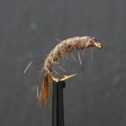 weighted hares ear tailed shrimp