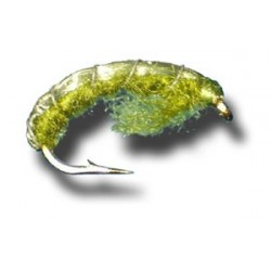 Czech Nymph Olive
