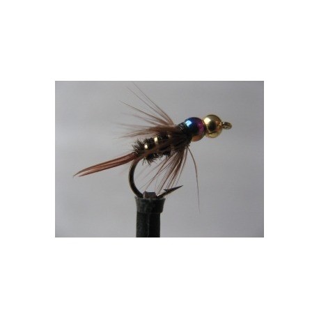 prince rainbow nymph