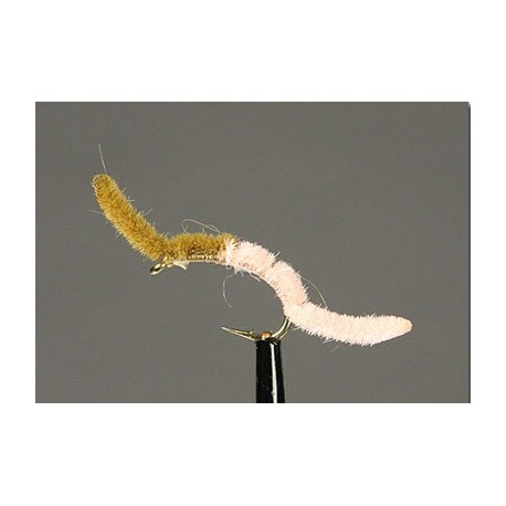 San Juan Worm Brown Shell Pink Side