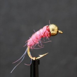 pink bug tungsten