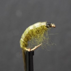 olive epoxy shrimp