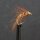 yellow and brown scud shrimp