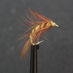 yellow and brown scud shrimp
