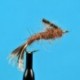 Brown Drake Nymph