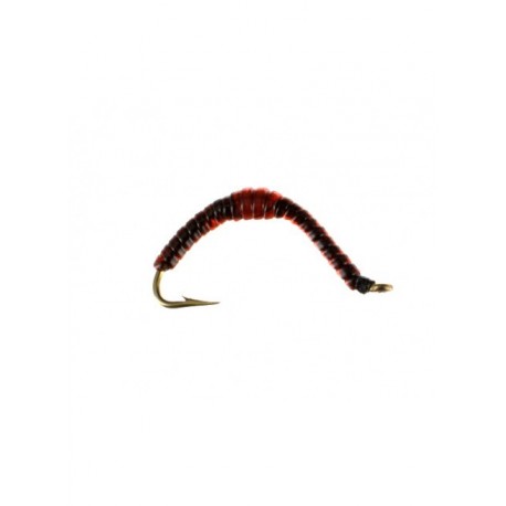 erie earthworm