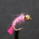 pink bug tailed tungsten