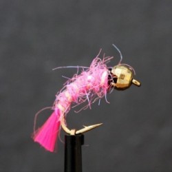 pink bug tailed tungsten