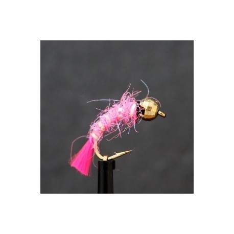 pink bug tailed tungsten