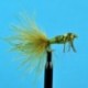 Damsel Nymph Olive