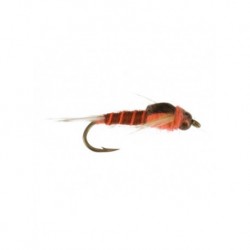 beadhead steely stonefly orange