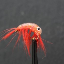 orange epoxy shrimp