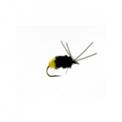 blue gill spider yellow butt