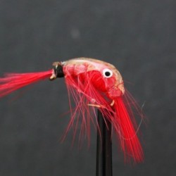 red epoxy shrimp
