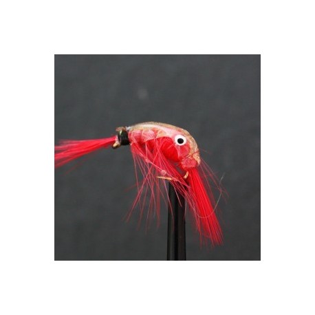 red epoxy shrimp