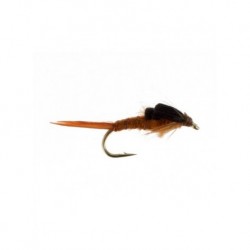 early brown stonefly short shank