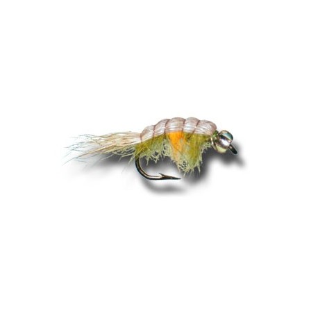 PregnantShrimp