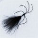 black critter worm