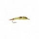 heath stonefly yellow