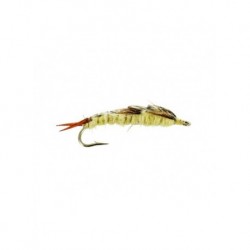 heath stonefly yellow