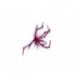 claret daddy long legs rubber legs goldhead l