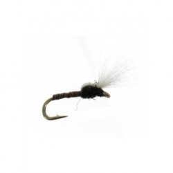 cdc midge pupa