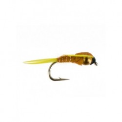 amber stonefly