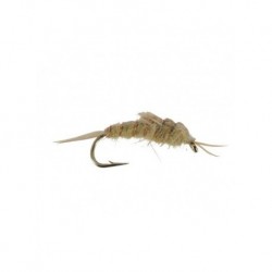 bogus stonefly yellow