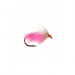 ray charles soft hackle pink