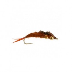 bead stonefly brown