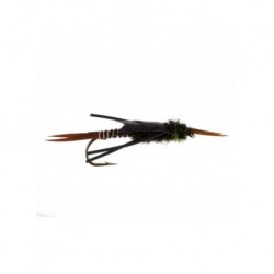 copper stonefly black