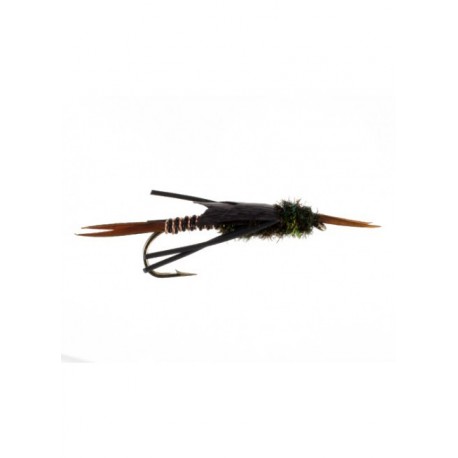 copper stonefly black