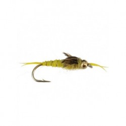 bh epoxy stonefly golden