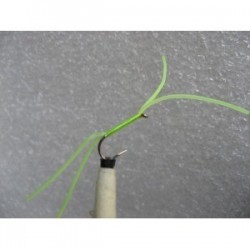 fl chartreuse perfect rubber b w