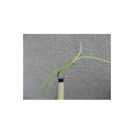 fl chartreuse perfect rubber b w