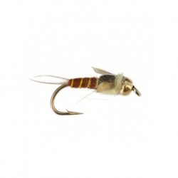 beadhead steely stonefly yellow