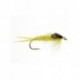 yellow stonefly