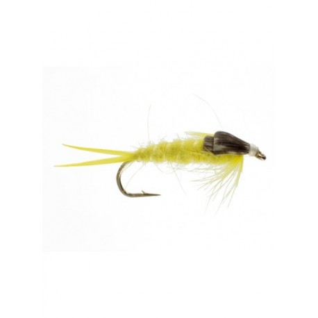 yellow stonefly