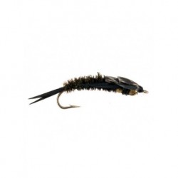 bead stonefly peacock