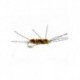 rubberleg stonefly