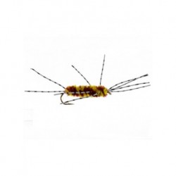 rubberleg stonefly