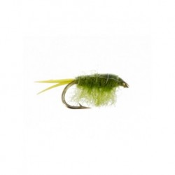 sow bug olive