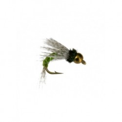beadhead bird of prey olive