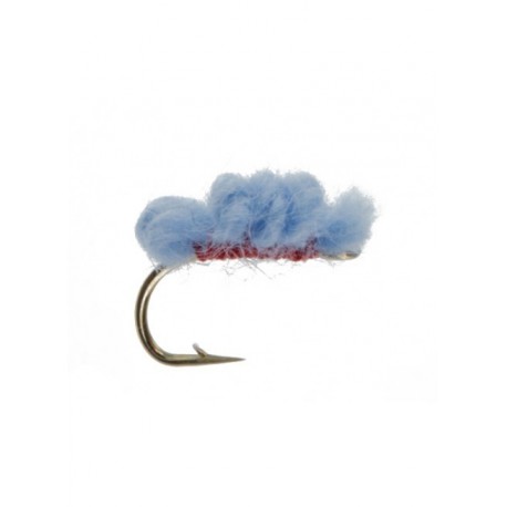 sucker spawn light blue