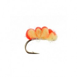 blood line oregon cheese flame