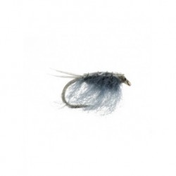 sow bug gray