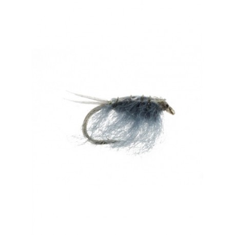 sow bug gray