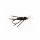copper stonefly brown