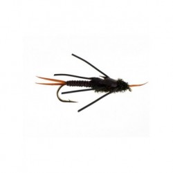 copper stonefly brown